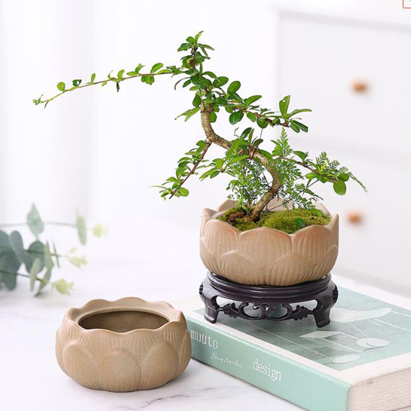 Bonsai Garden Art - Грубая керамика, Зеленый Лотос, горшок для
