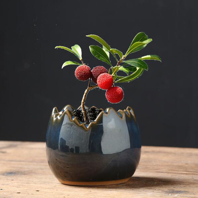 Bonsai Garden Art - Глазурованный цветочный горшок из керамики в