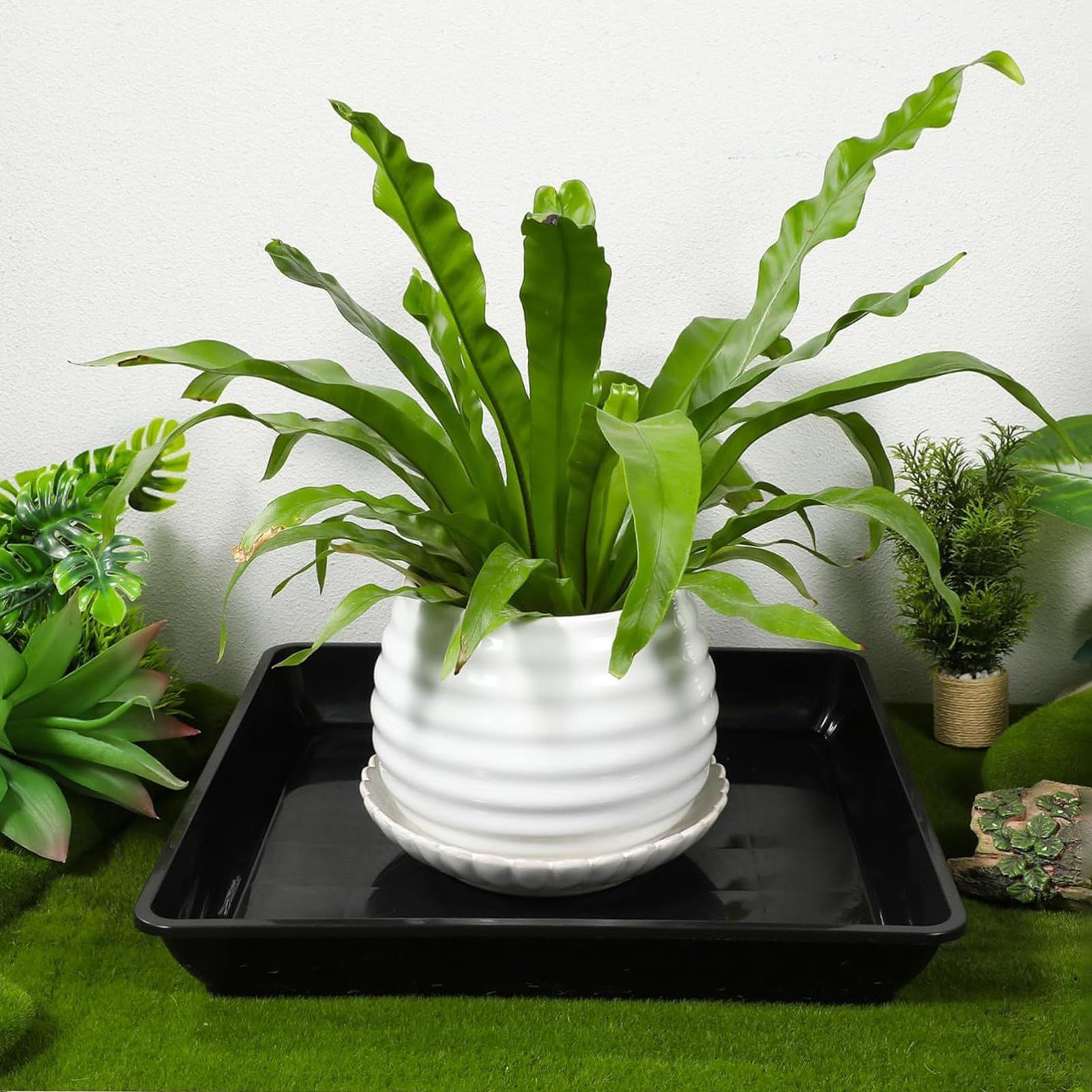 Поддоны для цветочных горшков, – обзор и цена Drip Tray Saucer