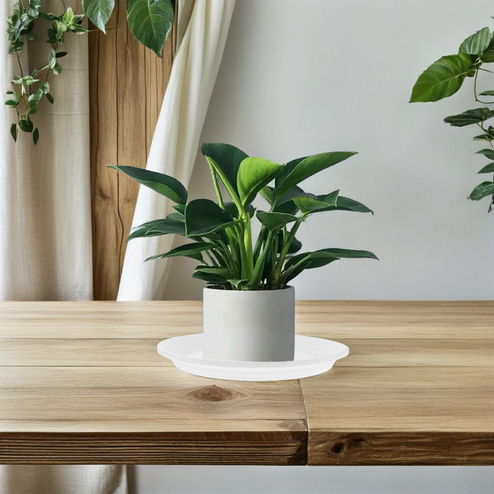 6 шт. круглых пластиковых подд – обзор и цена Drip Tray Saucer